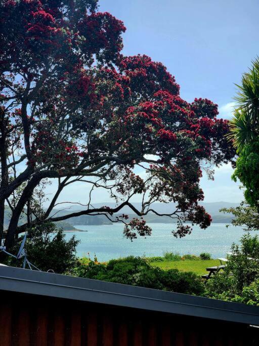 Orca Lodge Raglan Exteriér fotografie